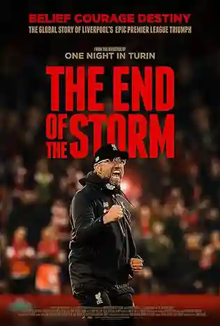 The End of the Storm (2020)