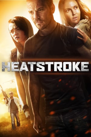 Heatstroke (2013) อีกอึดหัวใจสู้เพื่อรัก