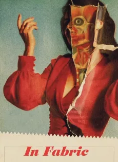 In Fabric (2018)