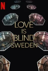 Love is Blind: Sweden Season 2 (2025) วิวาห์แปลกหน้า: สวีเดน