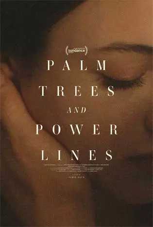 Palm Trees and Power Lines (2022)