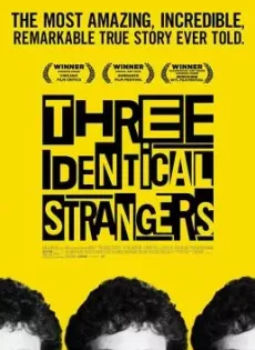 Three Identical Strangers (2018)