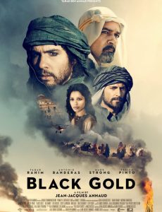 Black Gold (2011) แบล็ค โกลด์ ล่าขุมทองดับตะวัน